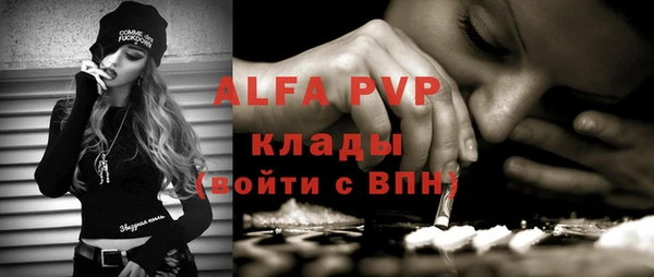 шишки Алзамай