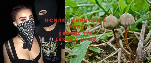 сатива Алексеевка