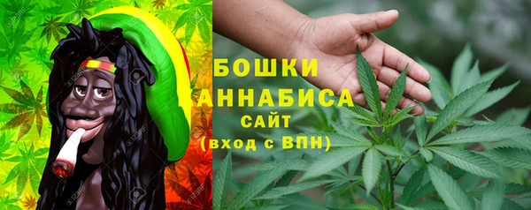 шишки Алзамай