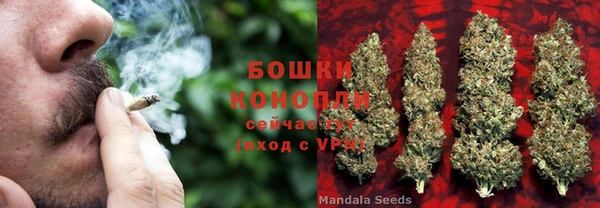 шишки Алзамай