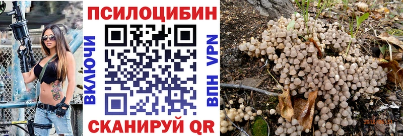 Псилоцибиновые грибы мицелий  Кизел 